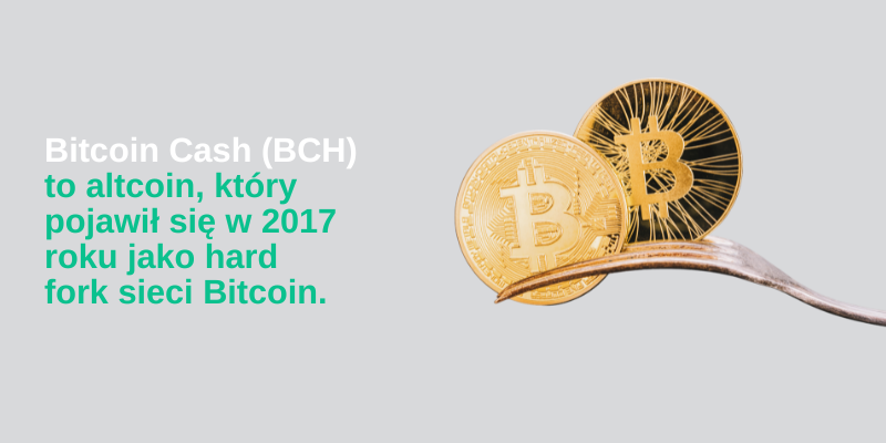 bitcoin-cash-bch-kryptowaluta