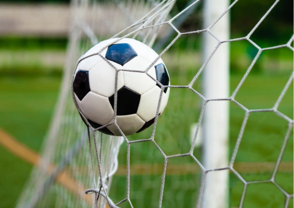 goal-line