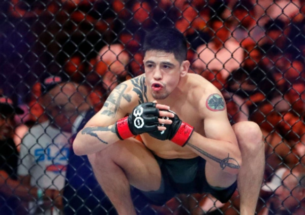 prognoza-ufc