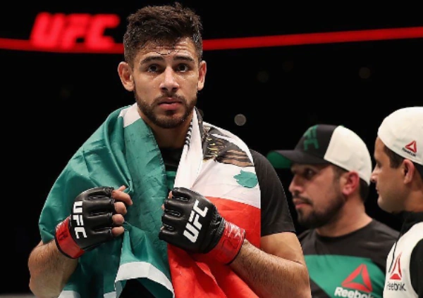 prognoza-ufc