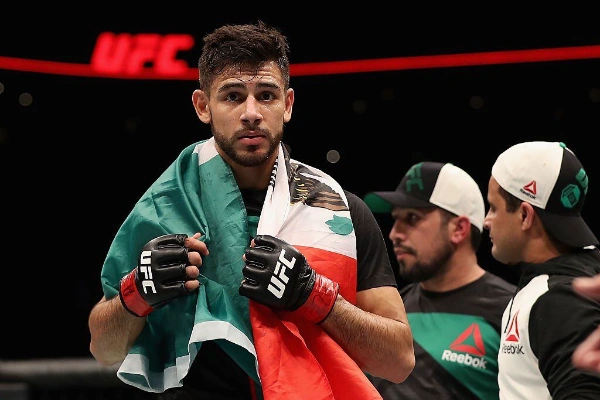 prognoza-ufc-yair-rodriguez-brian-ortega