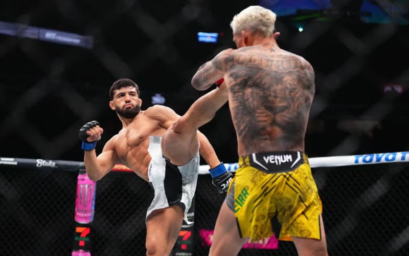 główne-style-i-techniki-walki-mma główne-style-i-techniki-walki-mma