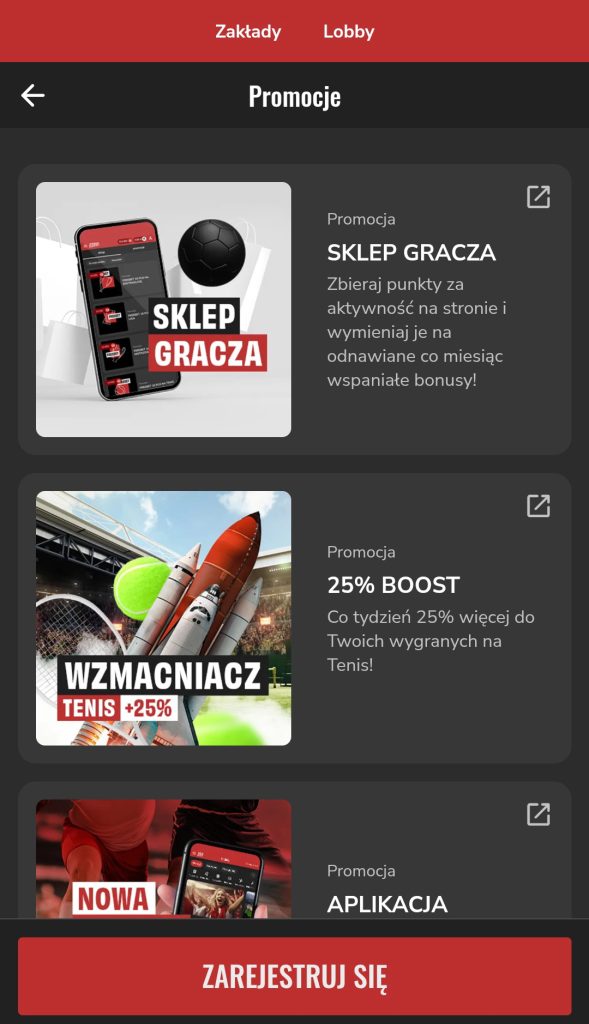 pzbuk-promocje pzbuk-promocje